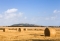 Hay Bales Canterbury New Zealand